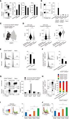 Redefining the Foreign Antigen and Self-Driven Memory CD4+ T-Cell Compartments via Transcriptomic, Phenotypic, and Functional Analyses